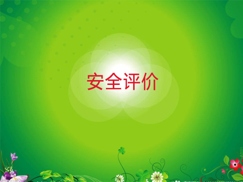 安(an)全評價